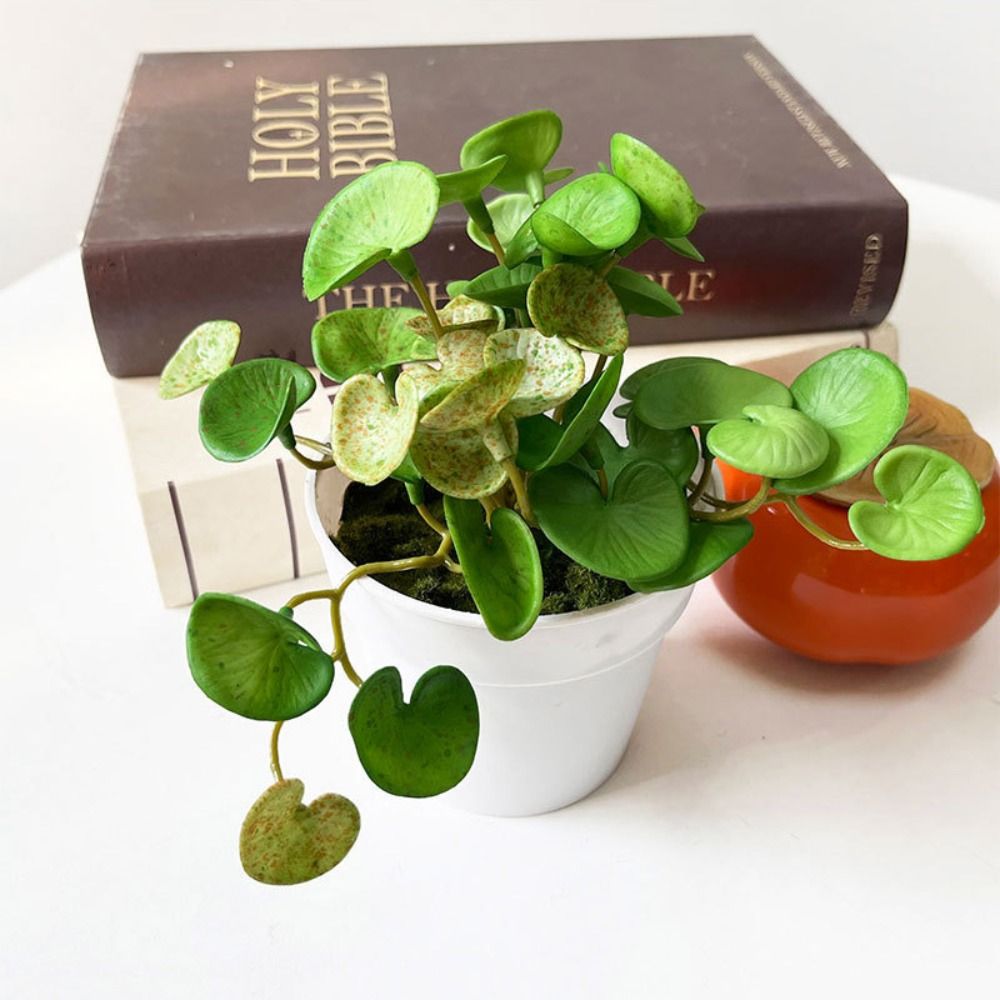 柔らかい接着剤人工植物,エヴァ,緑の多肉植物の葉,壁掛け,家 - Home Office Word のレビューと価格