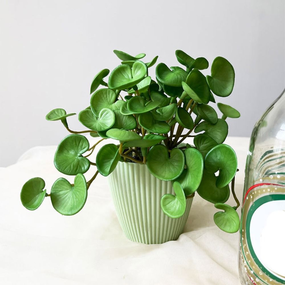 柔らかい接着剤人工植物,エヴァ,緑の多肉植物の葉,壁掛け,家 - Home Office Word のレビューと価格