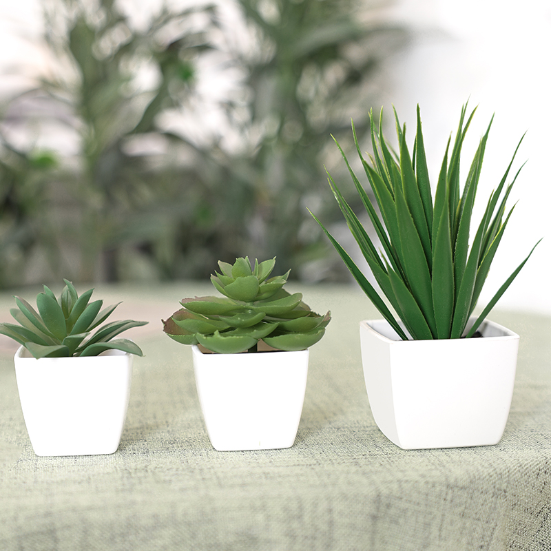 人工緑の植物盆栽,家庭,レストラン,オフィス,デスク,窓の装 - Home Office Word のレビューと価格