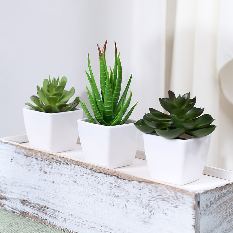 人工緑の植物盆栽,家庭,レストラン,オフィス,デスク,窓の装 - Home Office Word のレビューと価格