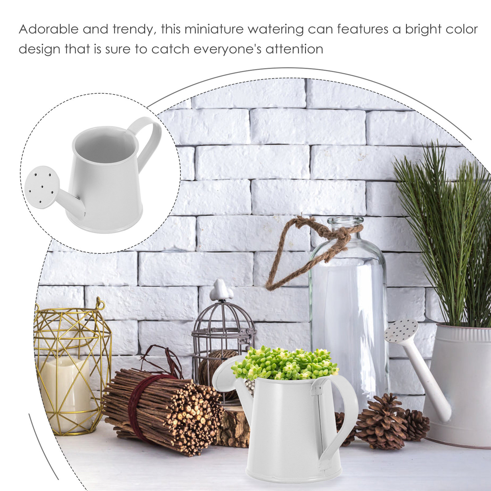 多肉植物用ミニ鉄製じょうろ 小型コンパクト装飾用植物水やりポ - Home Office With Bookshelves のレビューと価格